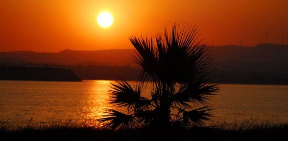 Aperçu chypriote…