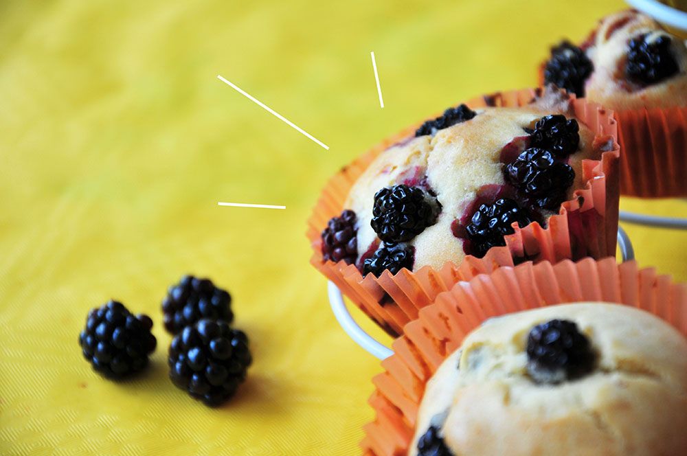 muffins mûre et sirop d'agave