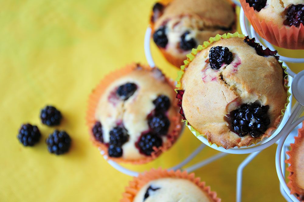muffins mûres sirop d'agave