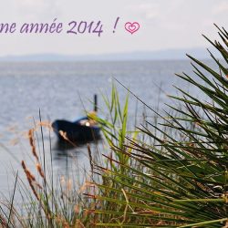 Bonne année 2014
