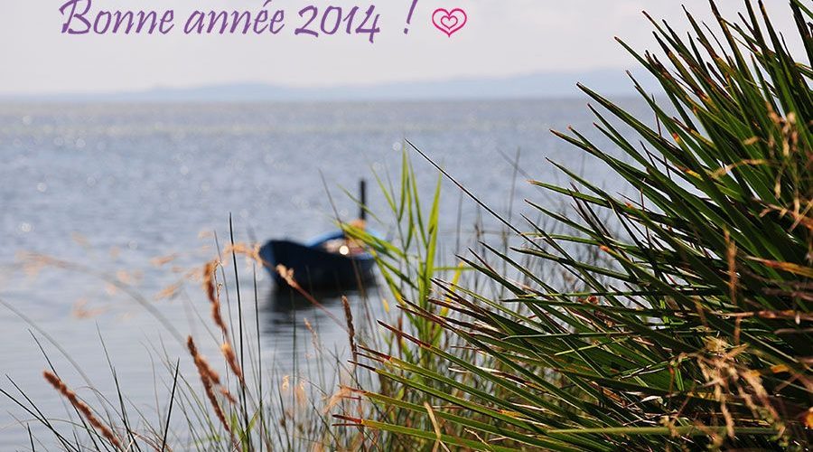 Bonne année 2014