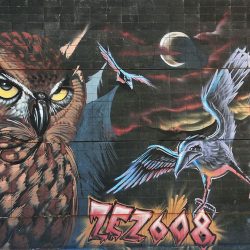 street art, Canaries, Tenerife, zez608