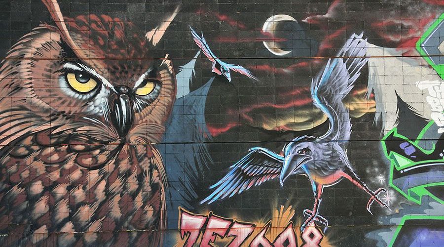 street art, Canaries, Tenerife, zez608