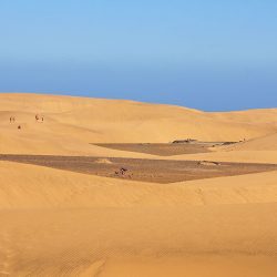 dunes maspalomas, gran canaria