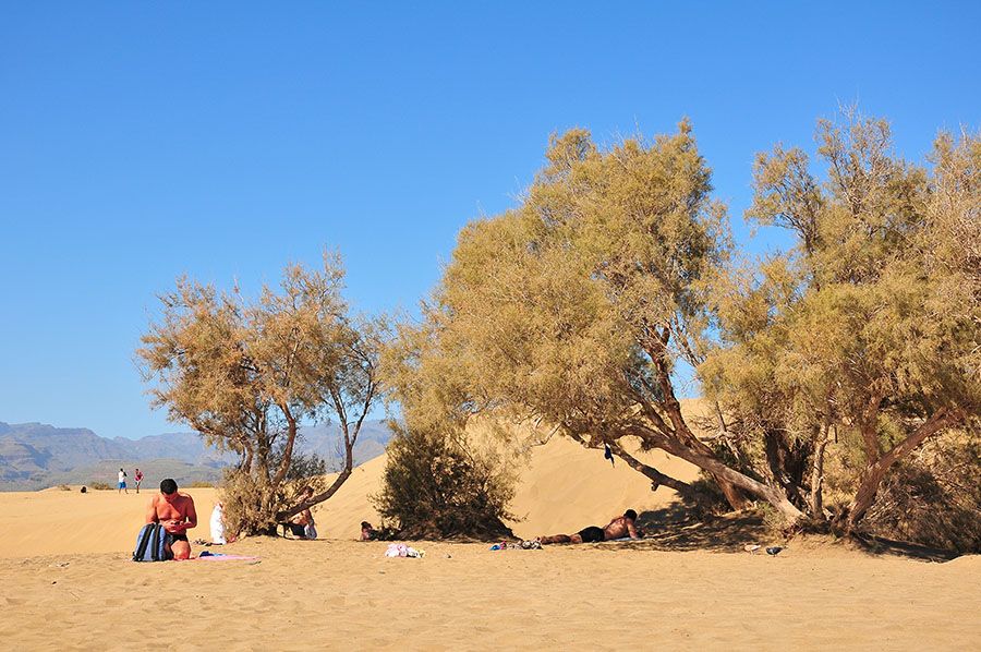 les dunes de maspalomas