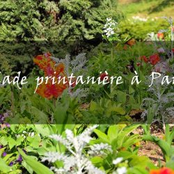 Balade printanière dans le 17e et au parc Monceau