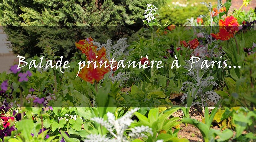 Balade printanière dans le 17e et au parc Monceau