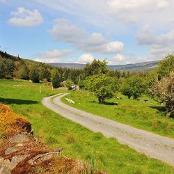 Road-trip en Irlande