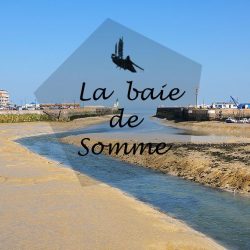 week-end en baie de somme