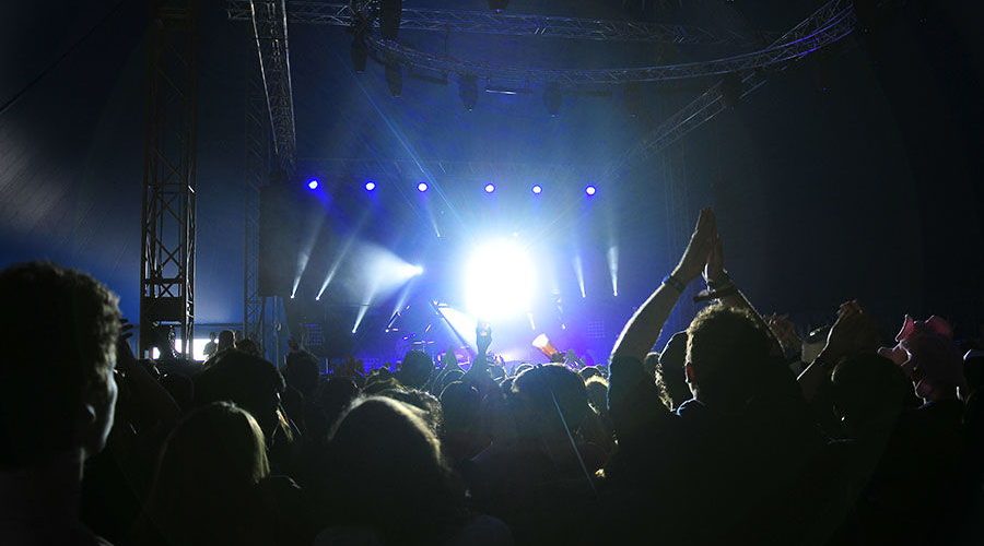 Cats on trees imaginarium festival