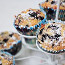 muffins à la myrtille