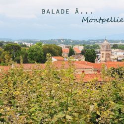 montpellier