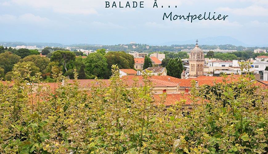 montpellier