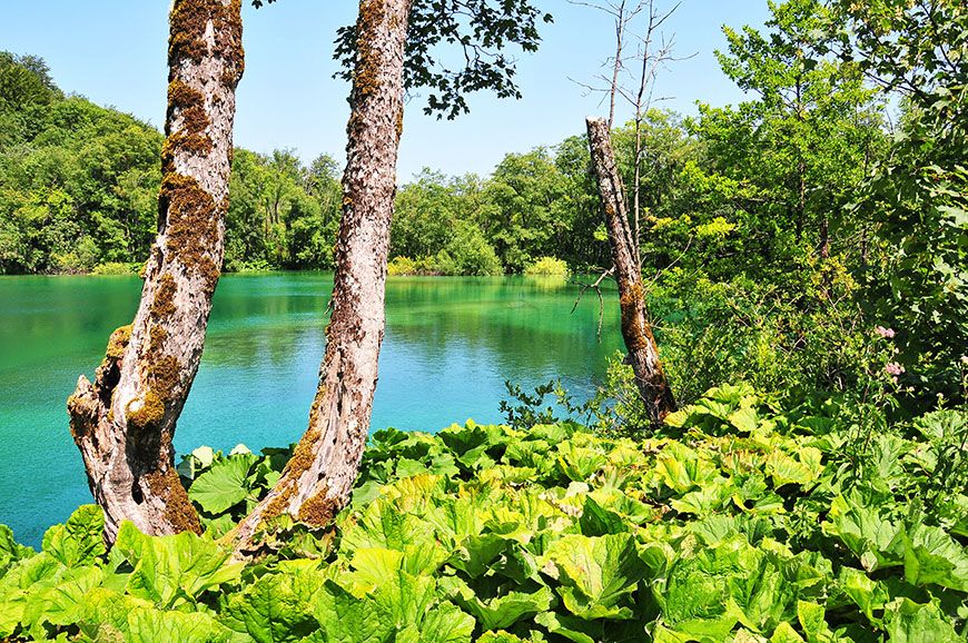 Lacs de Plitvice Croatie