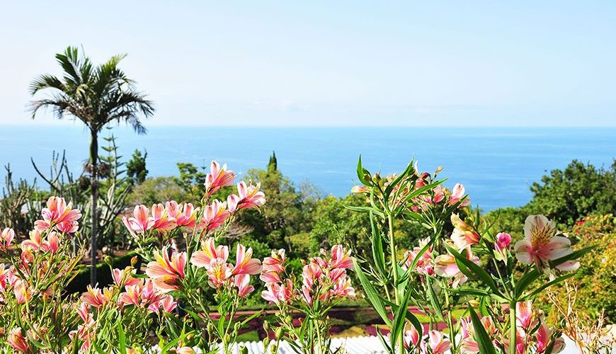 jardin botanique de funchal madère