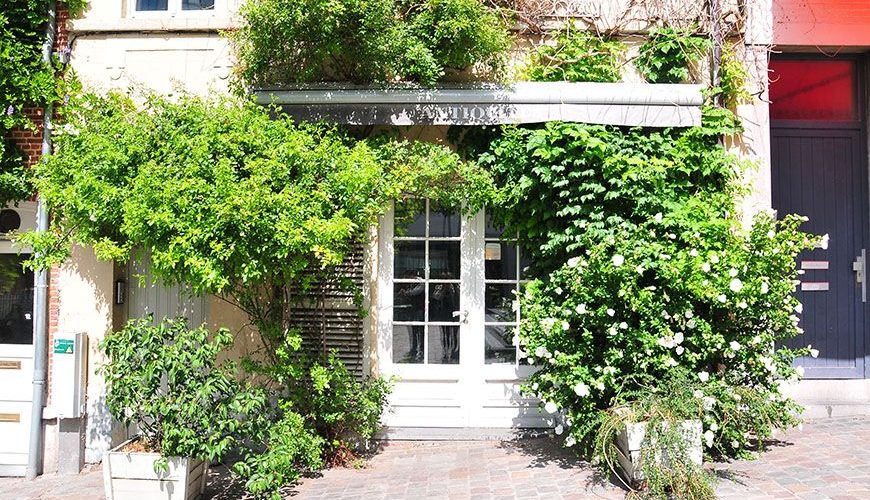 librairie marolles bruxelles