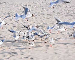 photo du mois évasion