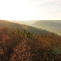 château du haut-barr, alsace