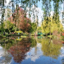 jardins de monet, giverny, printemps, étang des nymphéas