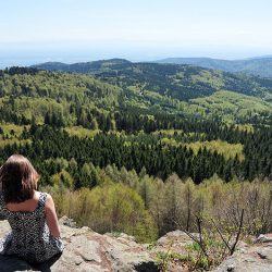 sommet du neultelstein, alsace