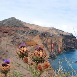 pointe de sao lourenzo, madère