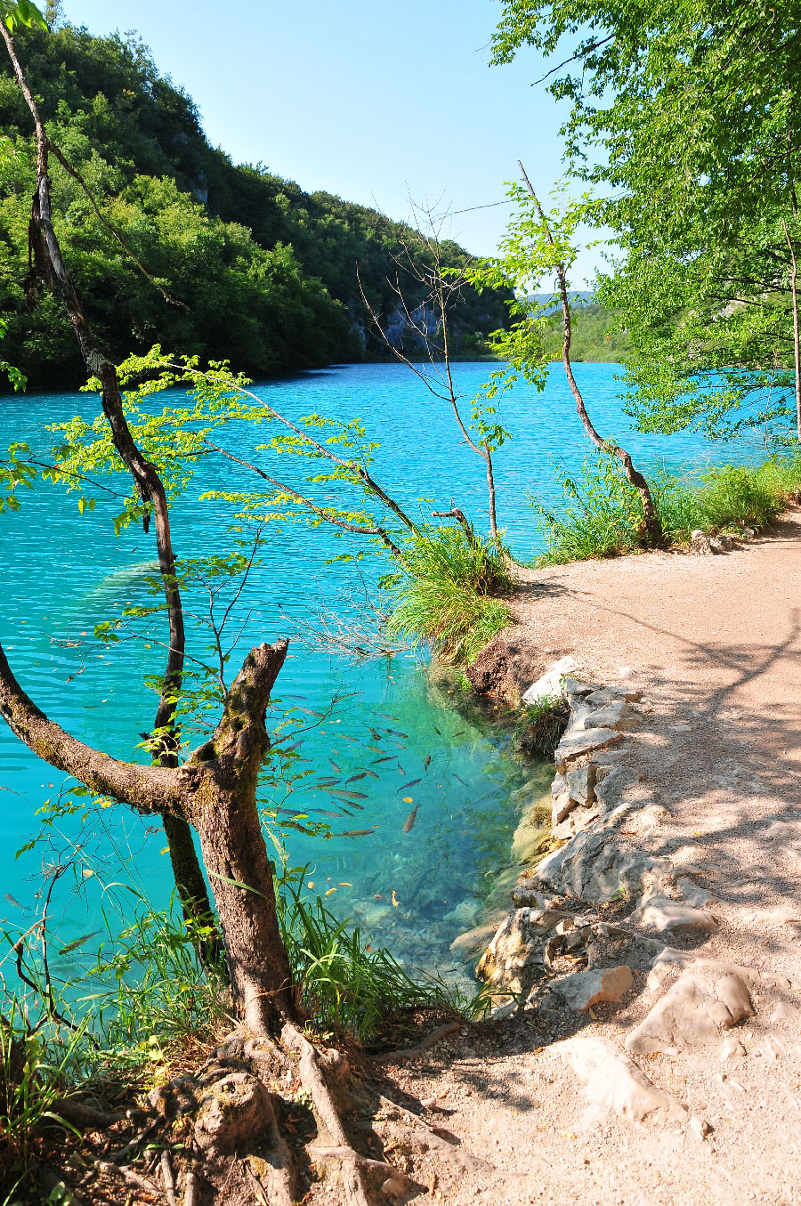 road trip en croatie, lacs de plitvice , parc national