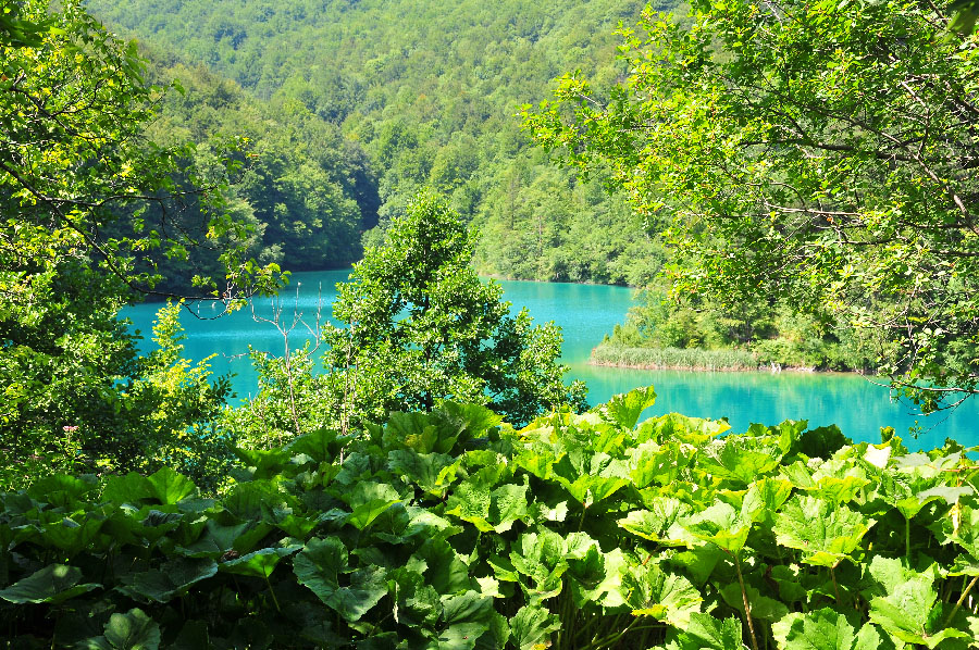 road trip en croatie, lacs de plitvice , parc national