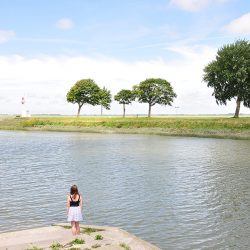 que faire en baie de somme