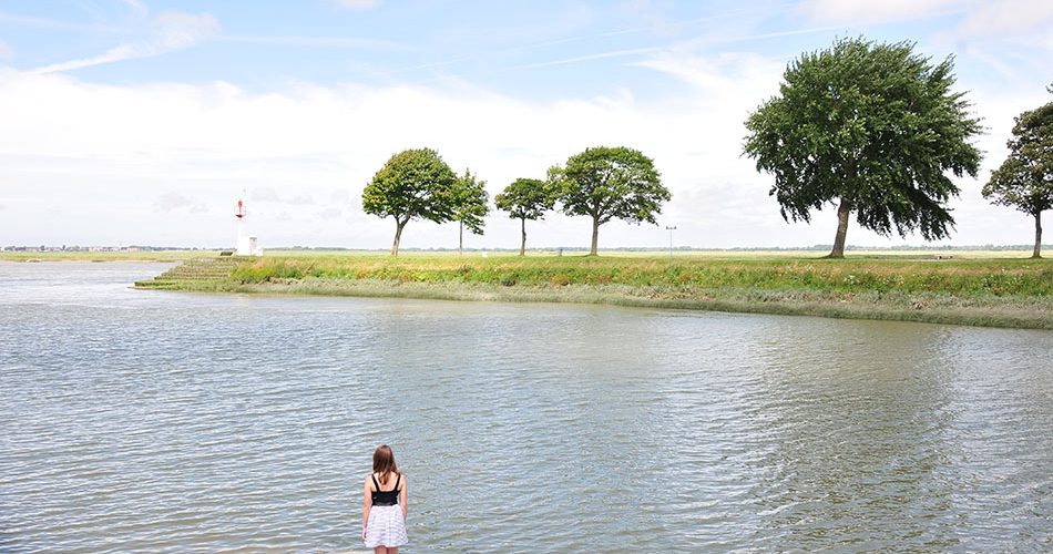 que faire en baie de somme