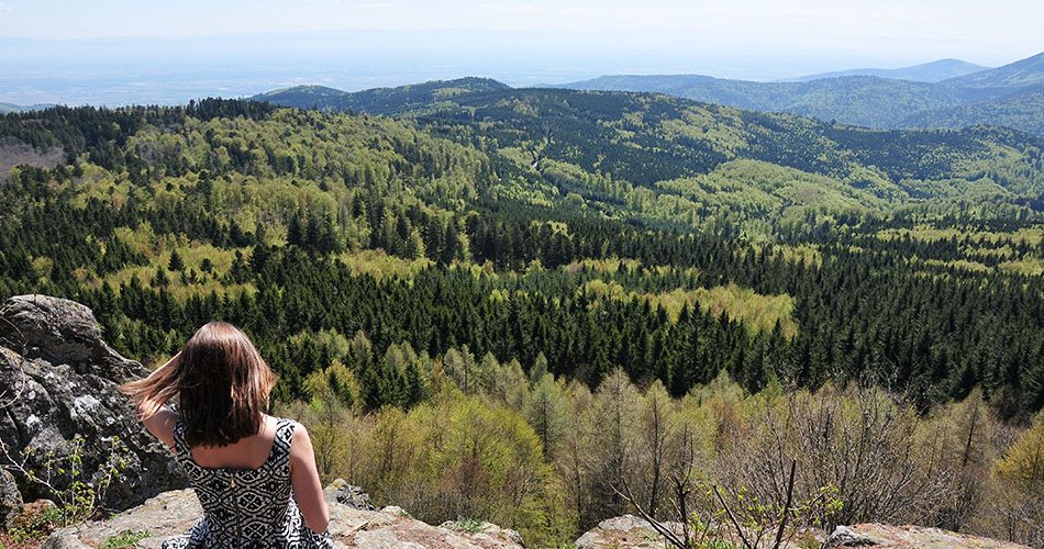 randonnée, rocher nentelstein, hohwald, bas-rhin, alsace