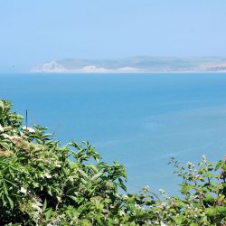 cap gris nez, nord-pas-de-calais