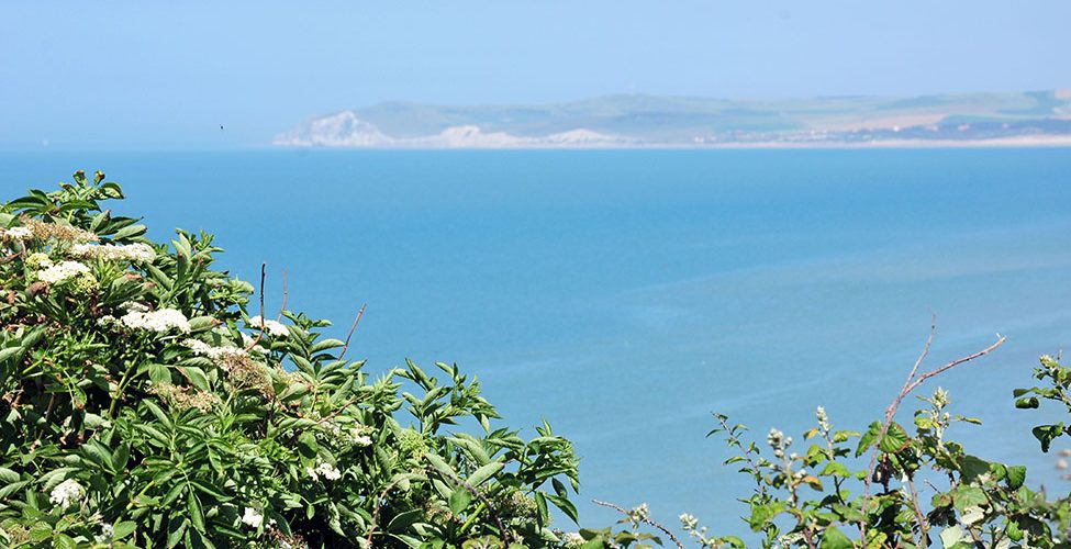 cap gris nez, nord-pas-de-calais