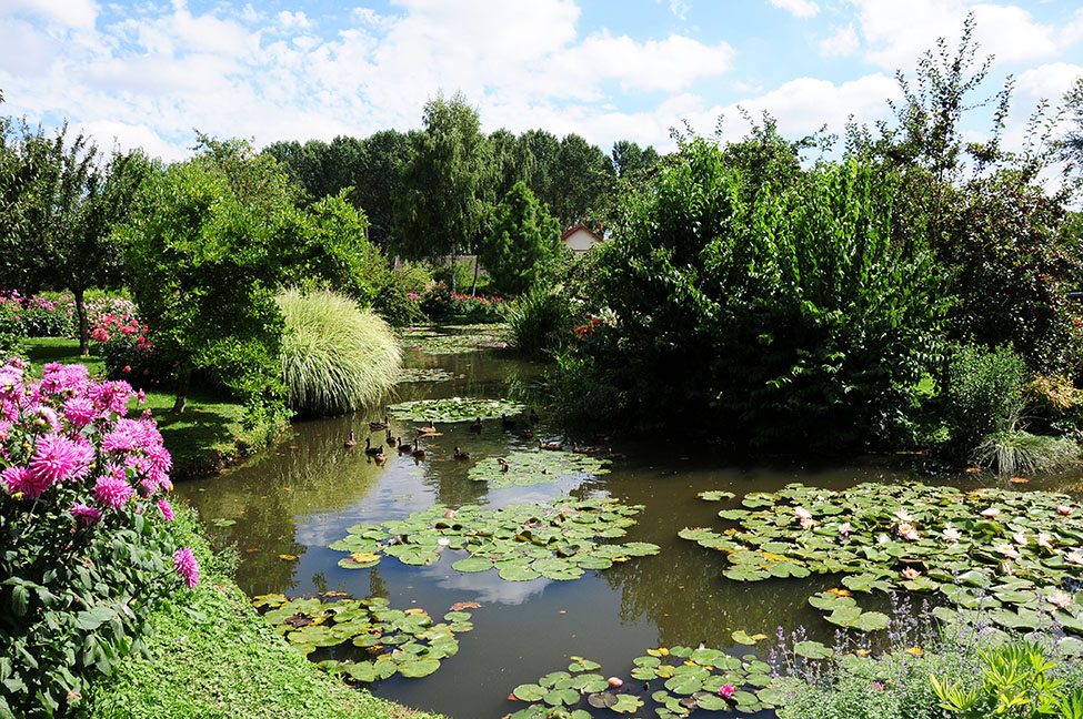 choses à faire dans l'Oise: découverte du jardin Van Beek