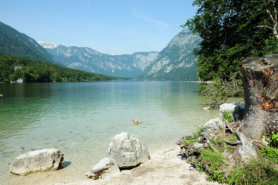 lac bohinj, lacs à voir en slovénie