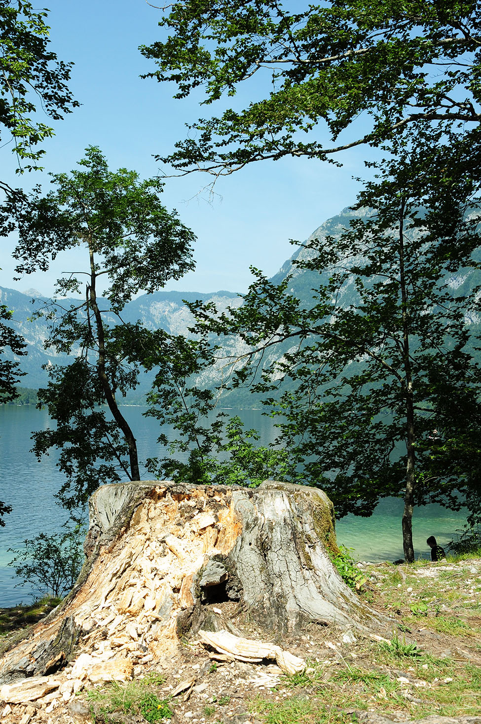 lac bohinj, lacs à voir en slovénie