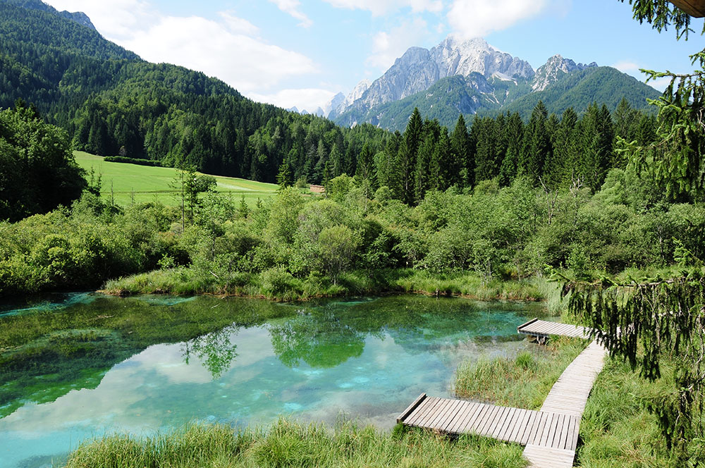 road-trip en slovénie: lac de zelenci