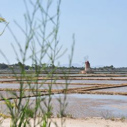 route du sel entre trapani et marsala