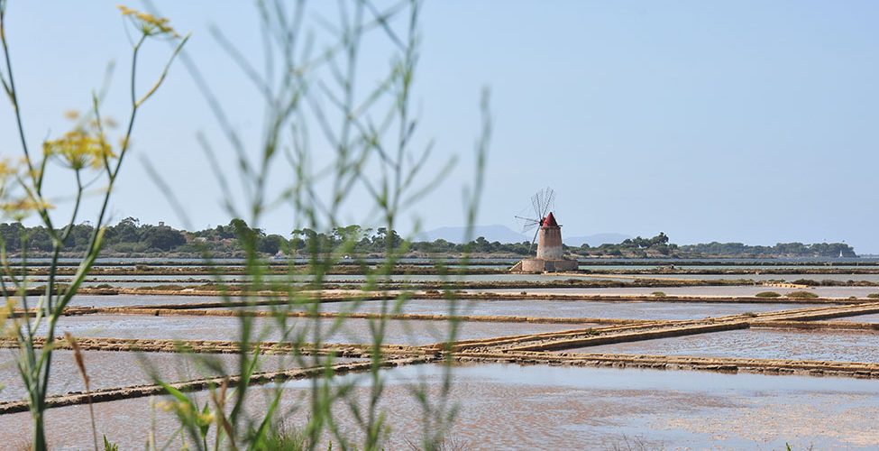 route du sel entre trapani et marsala