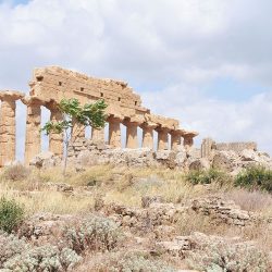 road-trip en sicile : visite des temples de sélinonte