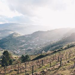 mesao frio, road trip dans la vallée du Douro