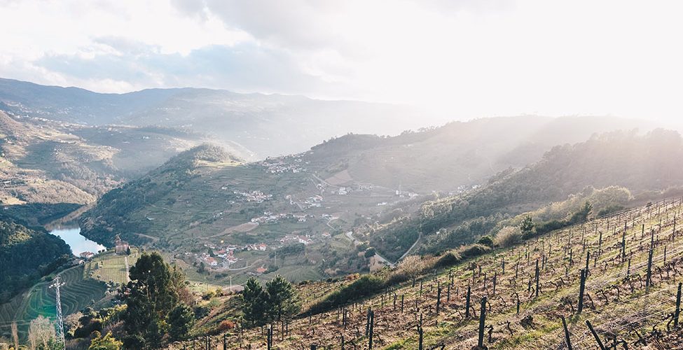 mesao frio, road trip dans la vallée du Douro