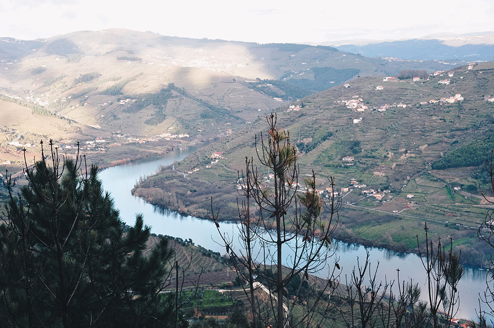 mesao frio, road-trip dans la vallée du Douro