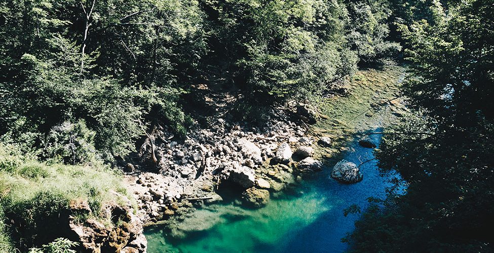 road-trip en slovénie: les gorges de vintgar
