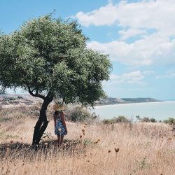 road-trip en sicile: eraclea minoa