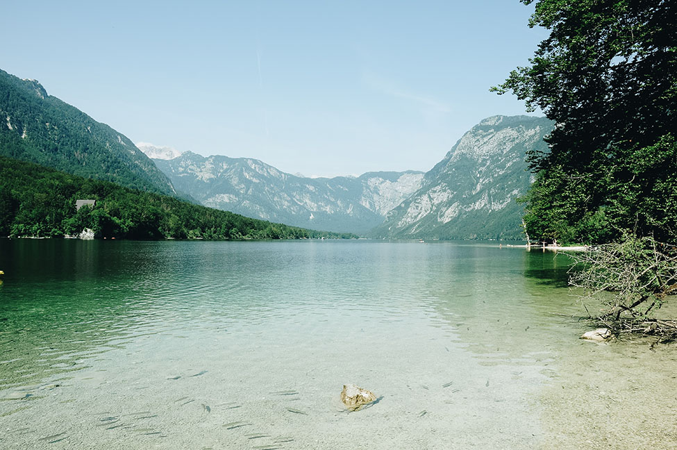 lac de bohinj, slovénie