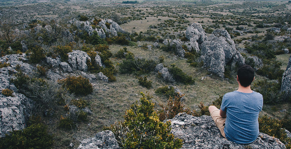 randonnée animée, les grands causses, végétation et roches, aveyron