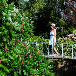 jardins de viels maisons dans l'aisne