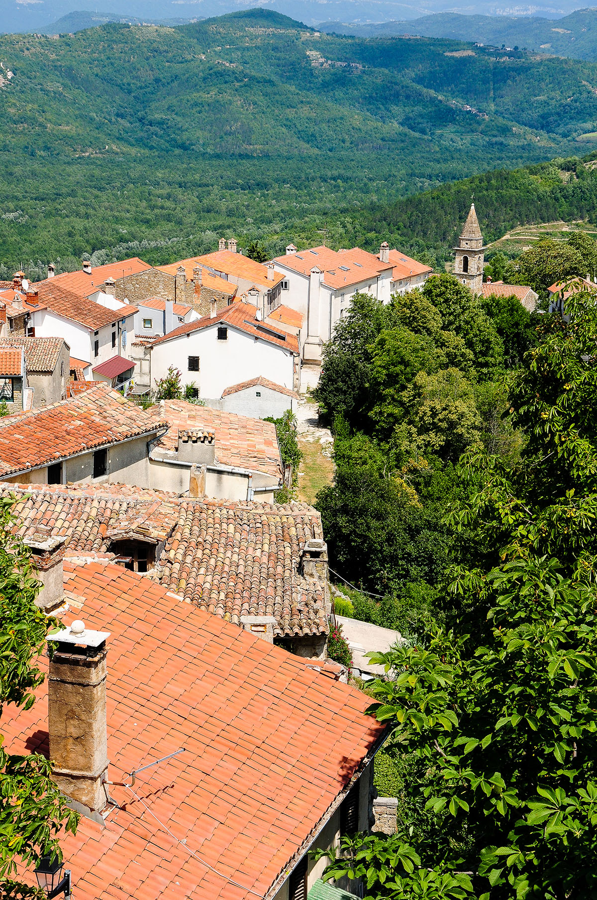 Motovun, villages perchés , Croatie, Istrie