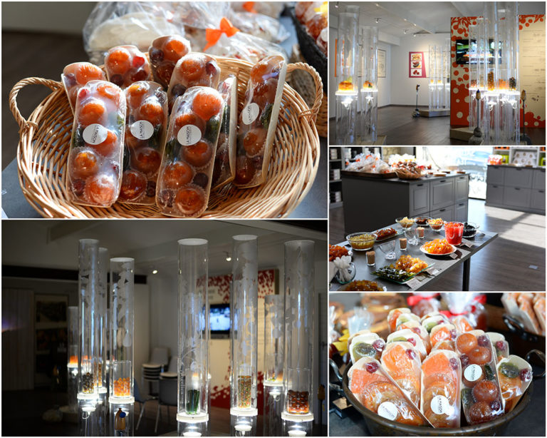 Que faire autour de dans le Vaucluse