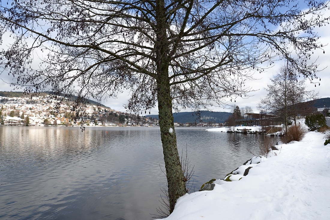 balade autour du lac de Gerardmer, hiver, neige, Vosges